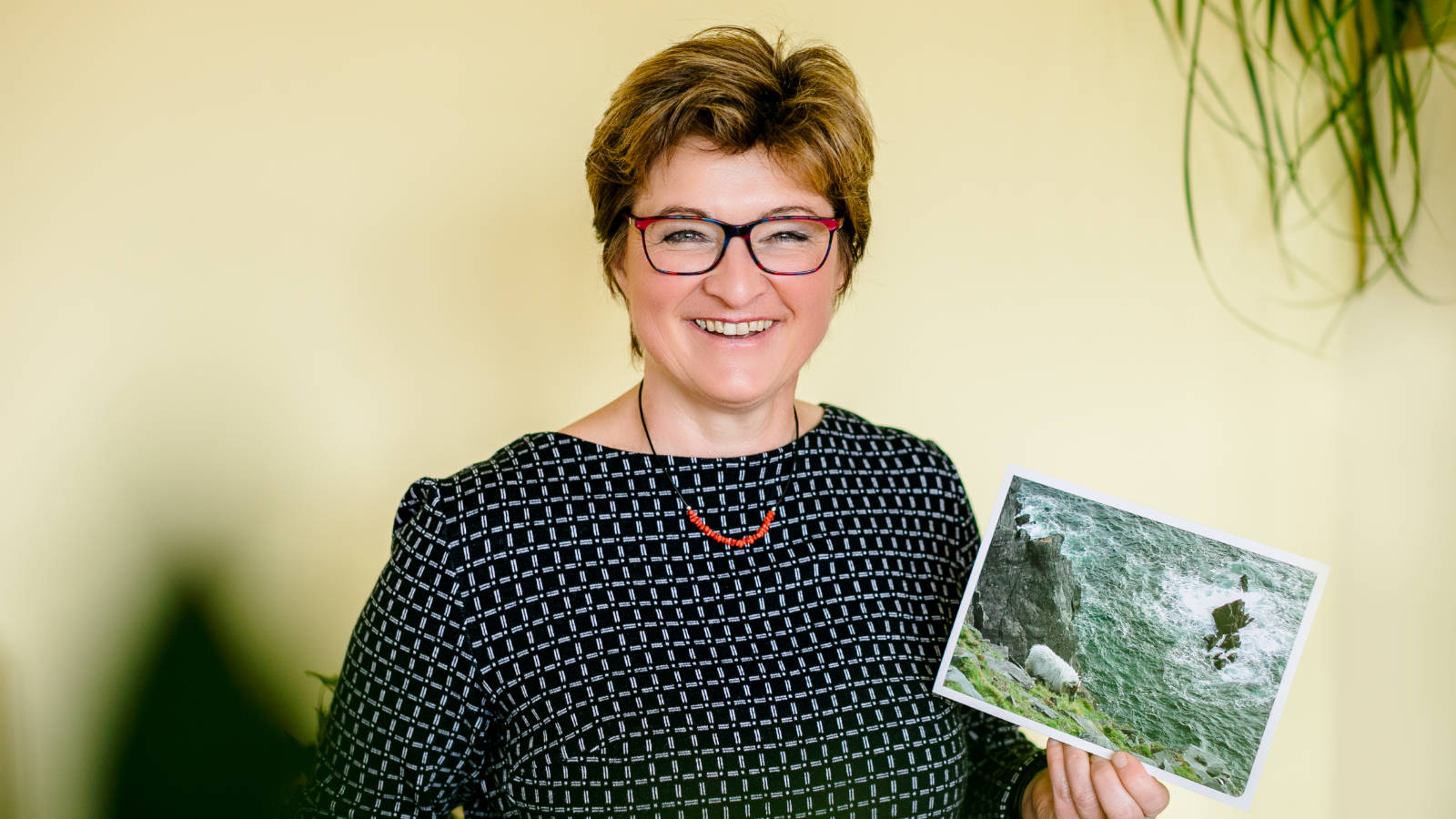 Header SOB Hilbert Seminare