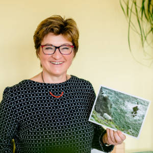 Thumbnail SOB Hilbert "Seminar"